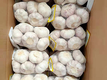 RED GARLIC 500G