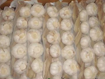 Braided garlic