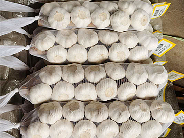 Braided garlic
