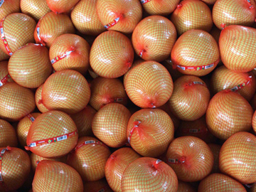 Pomelo