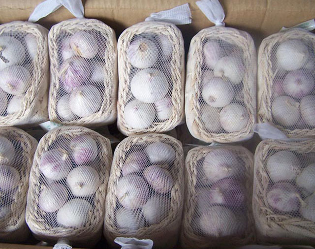 SOLO GARLIC IN BASKET