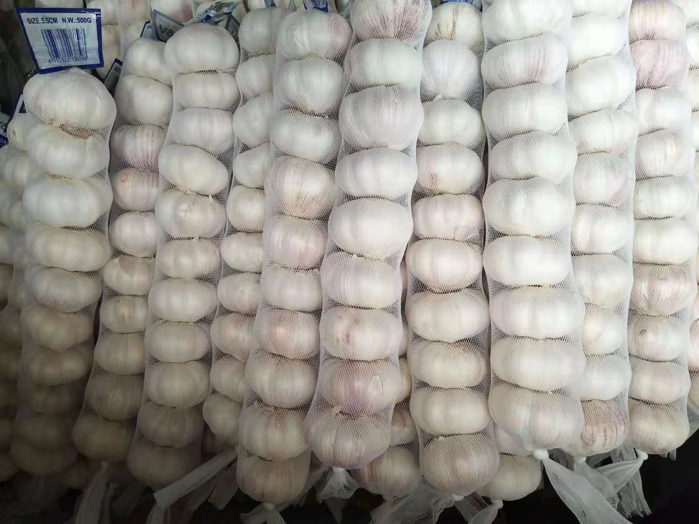 红蒜 500克