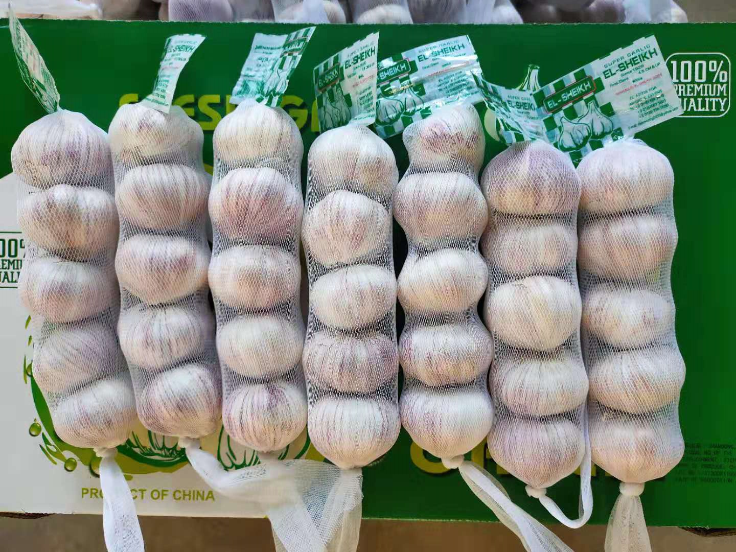 Red garlic 5PCS