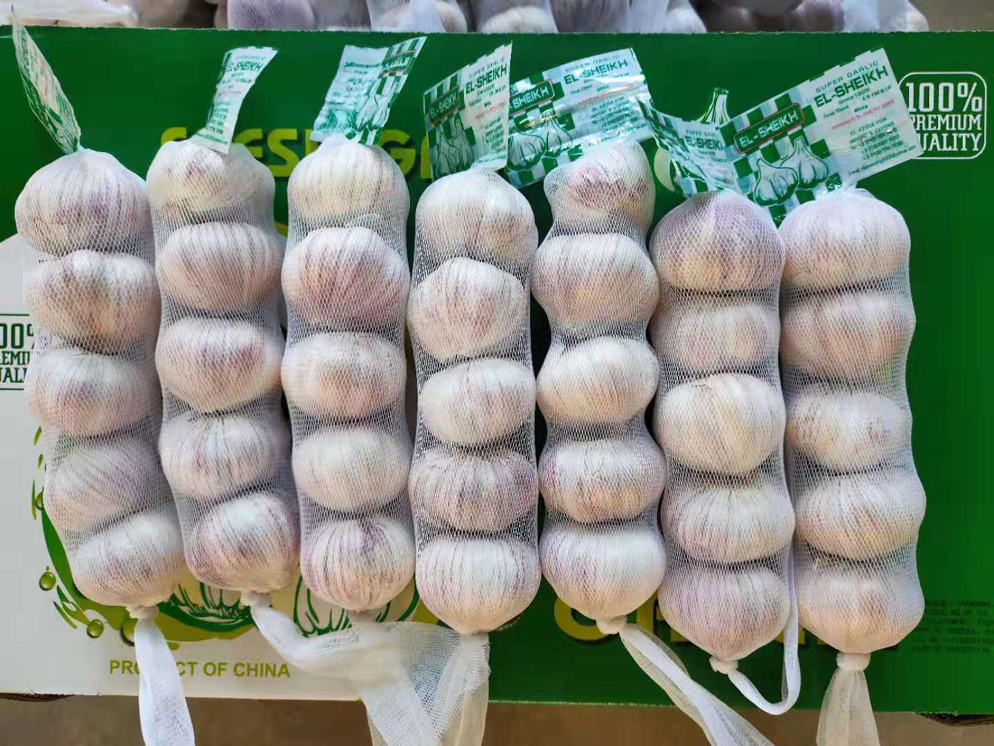 RED GARLIC 5PCS 
