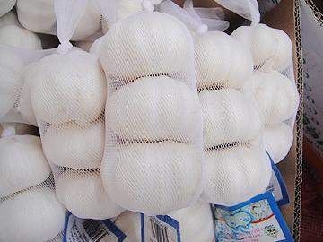 WHITE GARLIC 3PCS