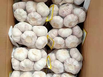 RED GARLIC 500G