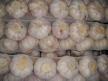 Braided garlic