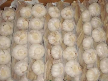 Braided garlic