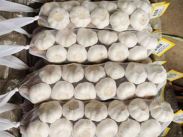 Braided garlic
