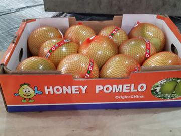 Pomelo