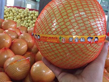 Pomelo
