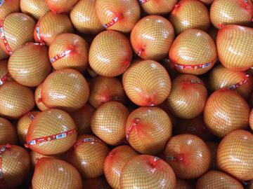 Pomelo