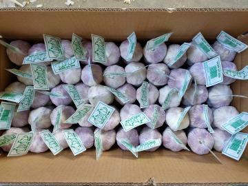 SMALL PACKAGE