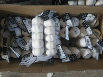 White garlic 5PCS