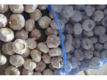 20KG BAGS